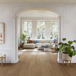 sum dub sahara predsien